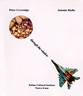 Through the window Through the window