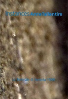 "Instances - 48th Venice Biennale,1999" "Instances - 48th Venice Biennale,1999"